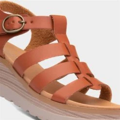 Lilley & Skinner Jakarta Womens Tan Wedged Sandal 10 Lilley & Skinner Jakarta Womens Tan Wedged Sandal -UK Shoe Sales 2024 191255 2 L05.20230628000043