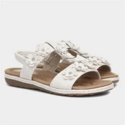 Lilley Womens Beige Sandal With Flowers 11 Lilley Womens Beige Sandal With Flowers -UK Shoe Sales 2024 197008 2 L06.20220720000244