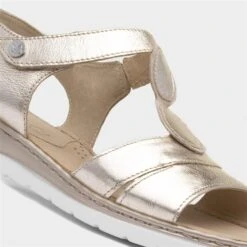 Caprice Womens Metallic Gold Leather Sandal 10 Caprice Womens Metallic Gold Leather Sandal -UK Shoe Sales 2024 199612 2 L05.20230616000147