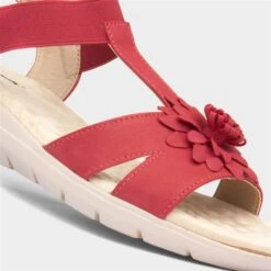 Cushion Walk Flora Womens Red Strappy Sandal 10 Cushion Walk Flora Womens Red Strappy Sandal -UK Shoe Sales 2024 199656 2 L05.20230808000232