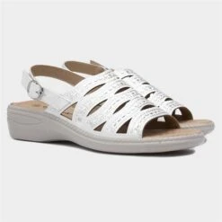 Cushion Walk Kaz White Strappy Sandal 11 Cushion Walk Kaz White Strappy Sandal -UK Shoe Sales 2024 199664 2 L06.20230808000233