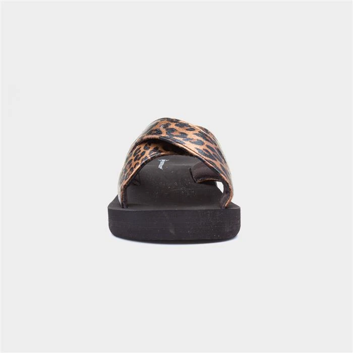 Dunlop Mindy Womens Black Chocolate Leopard Slider 3 Dunlop Mindy Womens Black Chocolate Leopard Slider